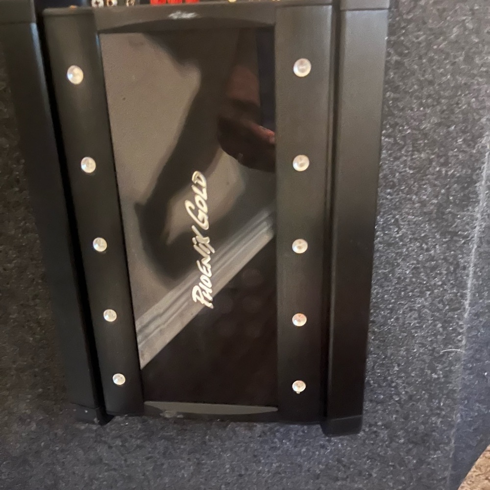 2 12 inch Phoenix Gold SX or Xs with the Amp 800 watts on the amp